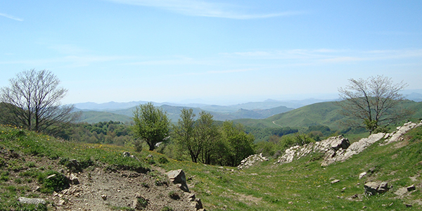 vuelle-residence-capo-d-orlando-sicilia-vacenze-mare-percorsi-natura-vacenze-paesaggio-rurale-sicilia-2